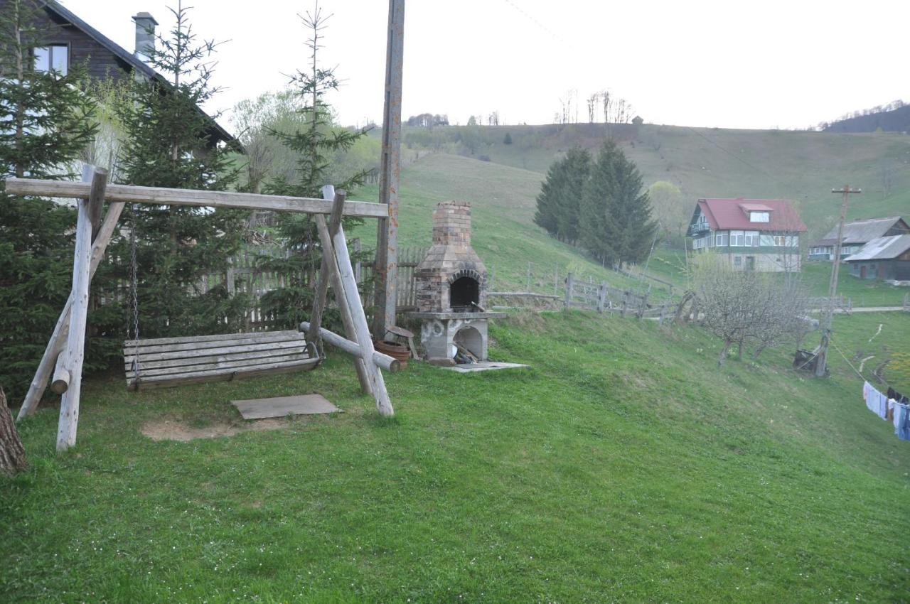 Casa Marioara Βίλα Şirnea Εξωτερικό φωτογραφία